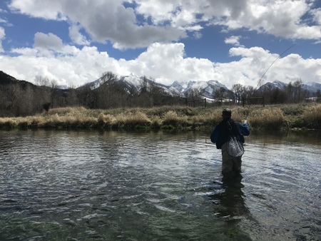 Paradise Valley River Update