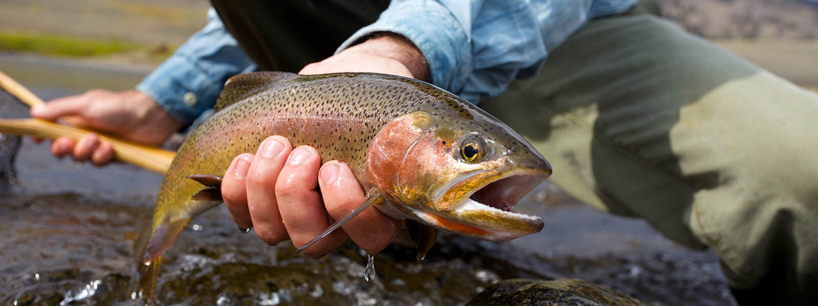 Fly Fishing in Montana